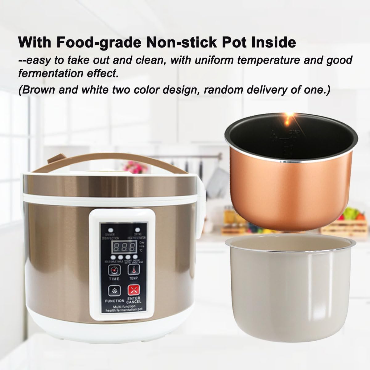 6L Black Garlic Fermenter Mult – Health & Wellness U Of T Bewertung und Preis