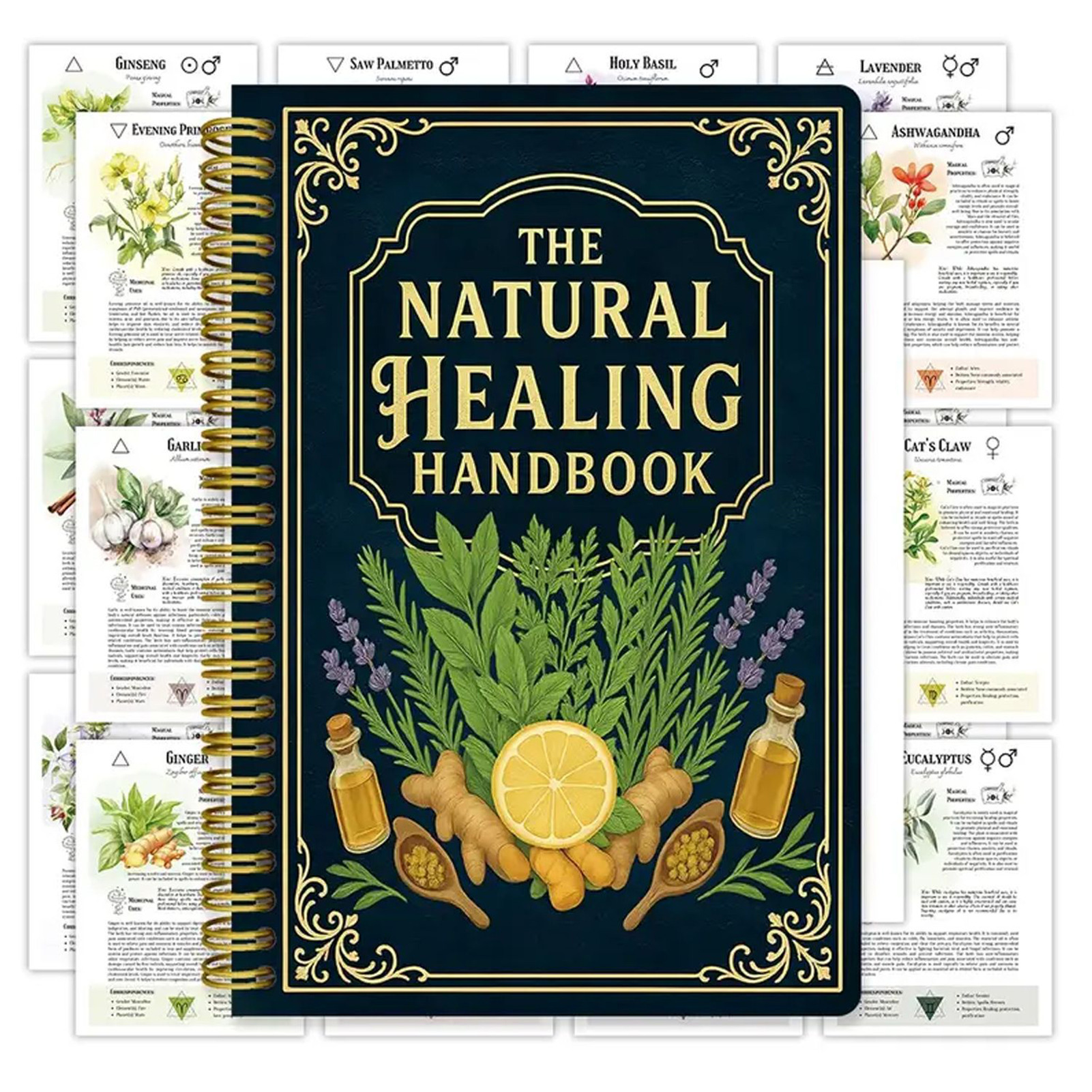 Natural Therapy Handbook, an E – Health & Wellness U Of T Bewertung und Preis