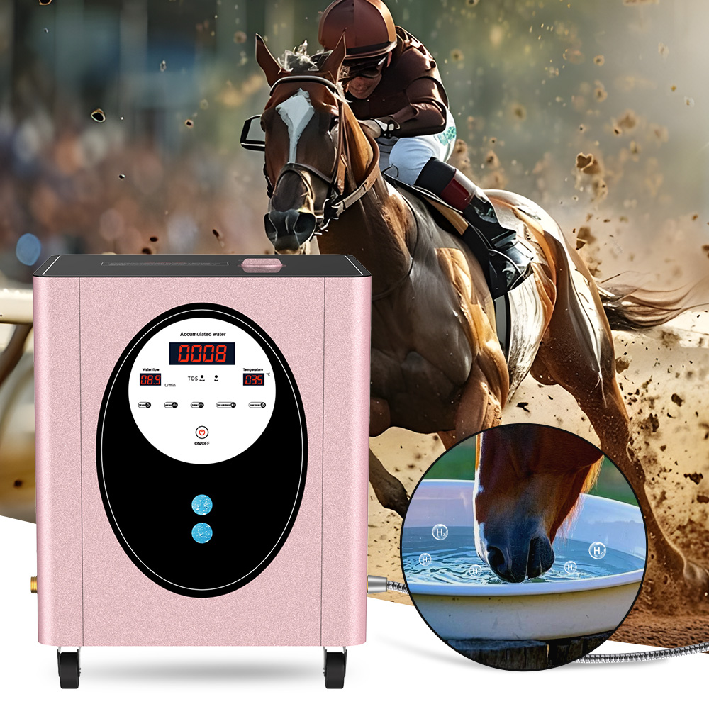 SUYZEKO Whole House Hydrogen W – Health Wellness Spa Bewertung und Preis