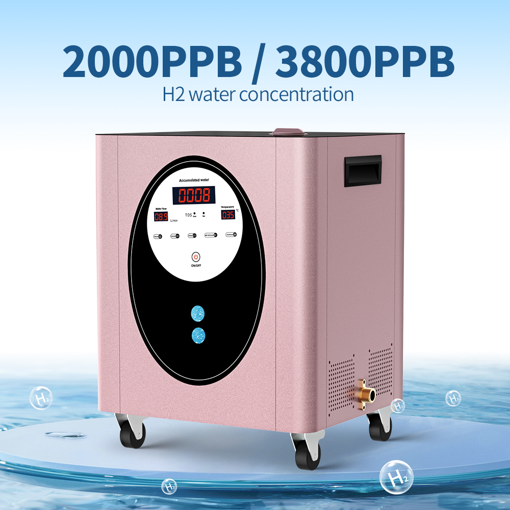 SUYZEKO Whole House Hydrogen W – Health Wellness Spa Bewertung und Preis